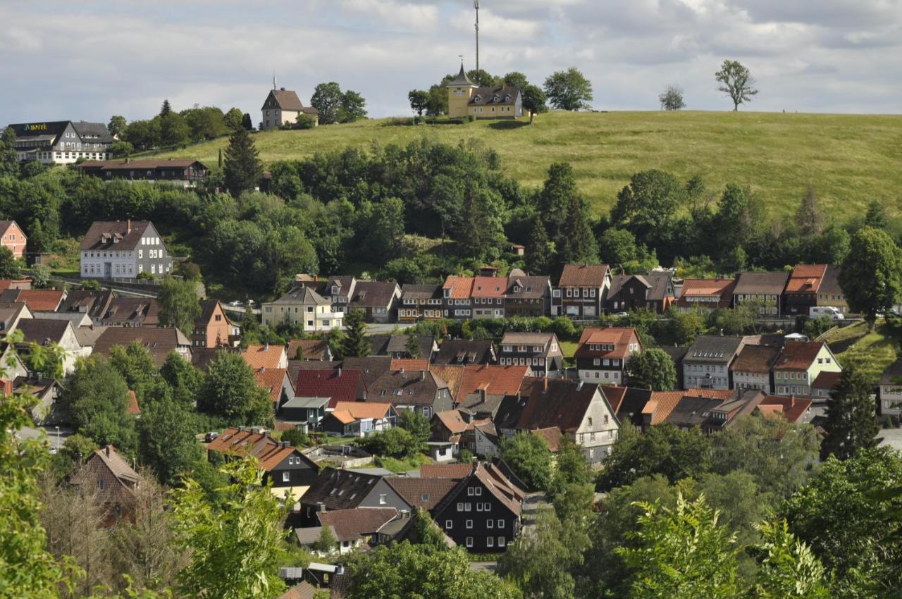 Gaestehaus Harzluft / Gruppenferienhaus Sankt Andreasberg Zewnętrze zdjęcie