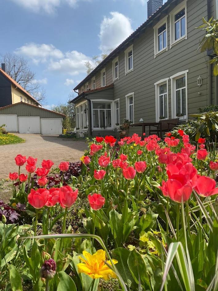 Gaestehaus Harzluft / Gruppenferienhaus Sankt Andreasberg Zewnętrze zdjęcie